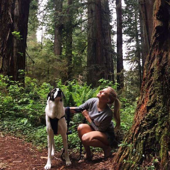 Meet your Posher, Ann - Picture 1 of 1